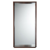 Fresca Allier 16" Wenge Mirror with Shelf